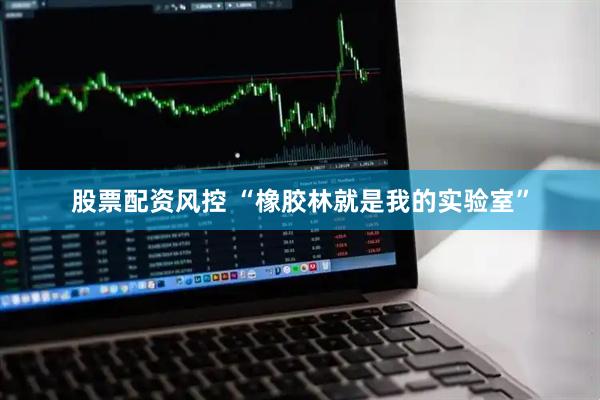 股票配资风控 “橡胶林就是我的实验室”