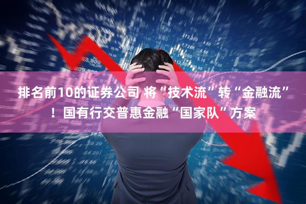 排名前10的证券公司 将“技术流”转“金融流”！国有行交普惠金融“国家队”方案