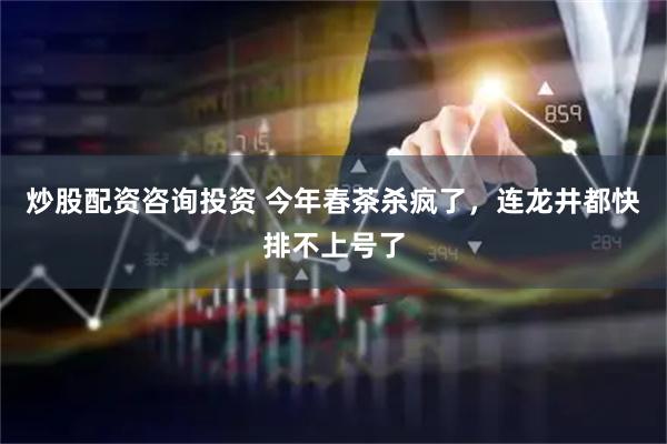 炒股配资咨询投资 今年春茶杀疯了，连龙井都快排不上号了
